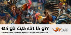 Đá gà cựa sắt