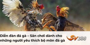 Diễn đàn đá gà