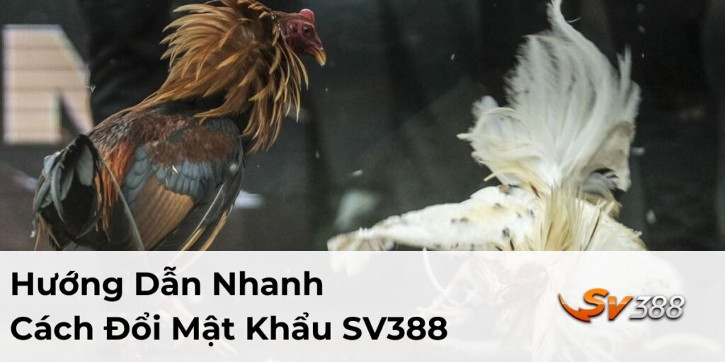 đổi mật khẩu SV388