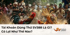 Tài khoản dùng thử SV388